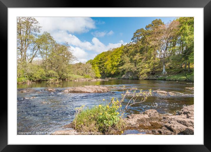 Springtime on the River Tees near Holwick Framed Mounted Print by Richard Laidler