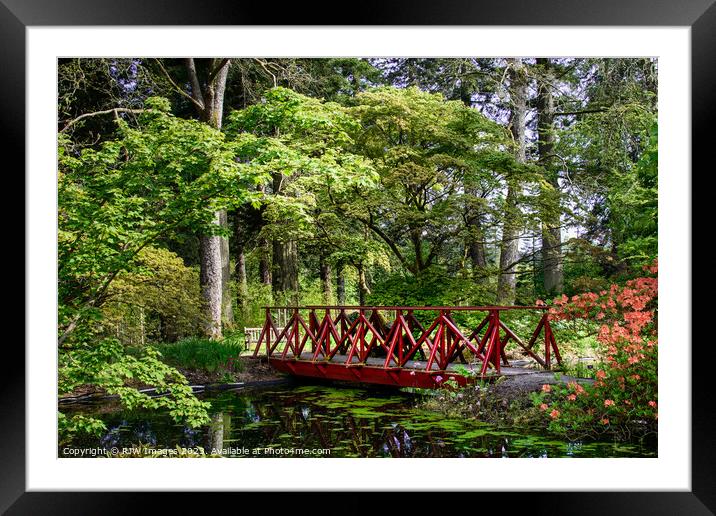 The Pond Benmore Gardens Framed Mounted Print by RJW Images