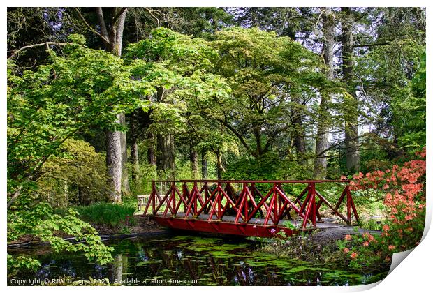 The Pond Benmore Gardens Print by RJW Images