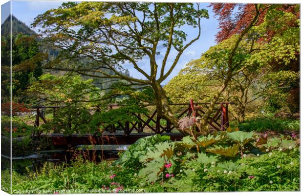 The Pond Benmore Gardens Canvas Print by RJW Images