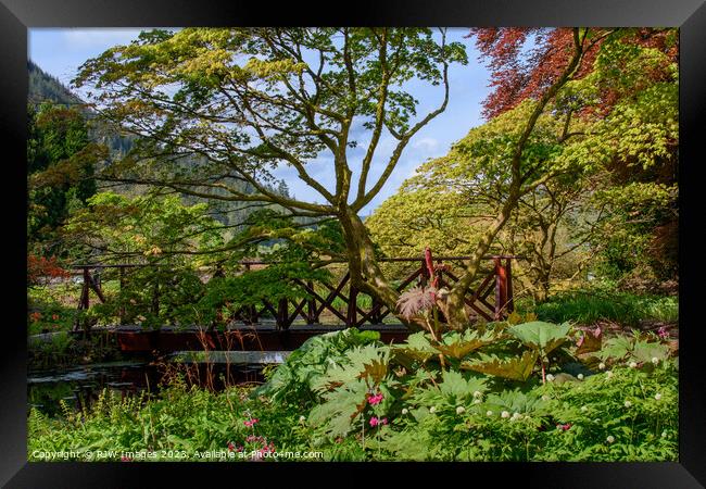 The Pond Benmore Gardens Framed Print by RJW Images