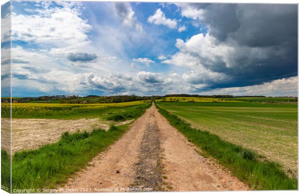 A dirt road among spring fields. Canvas Print by Sergey Fedoskin