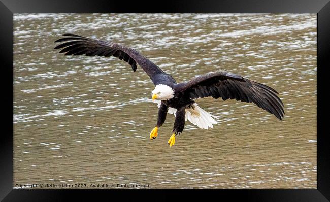 In the air Framed Print by detlef klahm