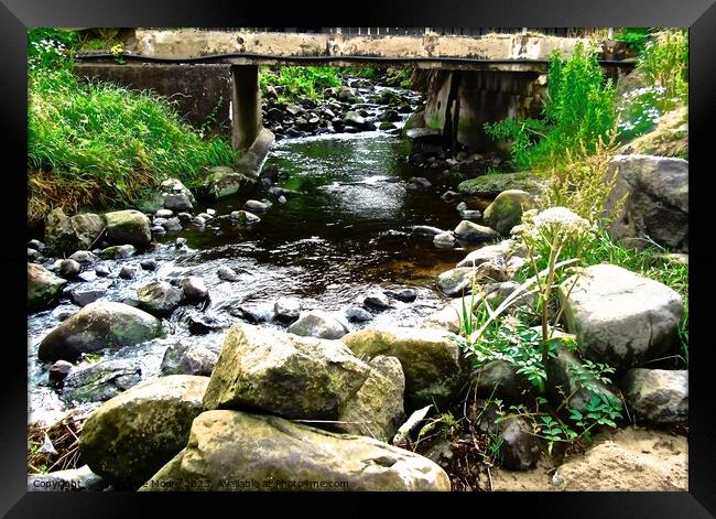 Stream at Downhill Framed Print by Stephanie Moore