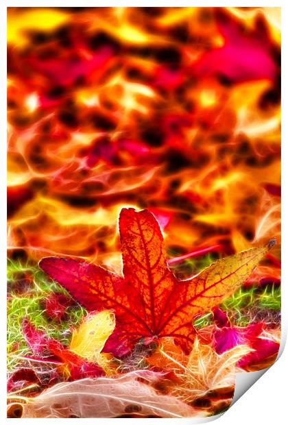 Autumn fractals leafs Print by David French