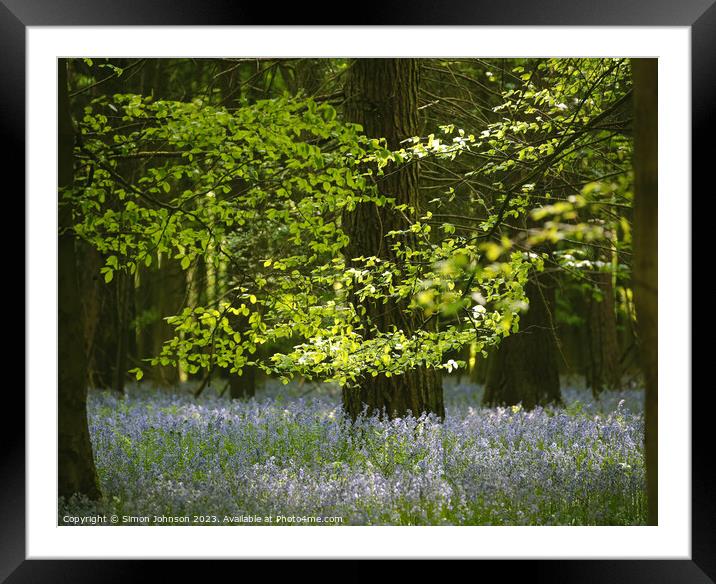 Plant tree Framed Mounted Print by Simon Johnson