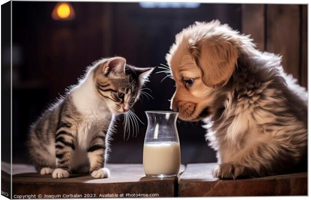 camaraderie, the cat generously shares its milk wi Canvas Print by Joaquin Corbalan