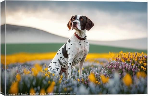 An English Pointer dog, healthy and attentive to p Canvas Print by Joaquin Corbalan