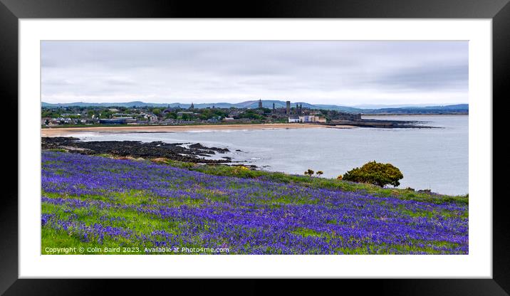 St Andrews Bay, Fife, Scotland Framed Mounted Print by Colin Baird