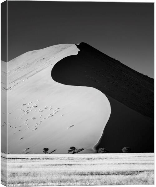 Sossusvlei sand dunes, Namib desert, Namibia Canvas Print by Justin Foulkes