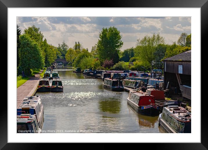 Marina on The Grand Union Canal,Braunston. Framed Mounted Print by Anthony Moore