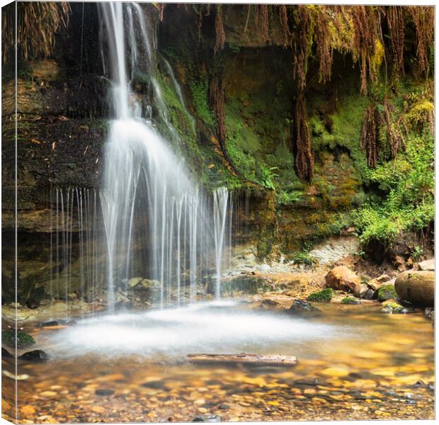 Cascading Beauty Canvas Print by Stuart Jack