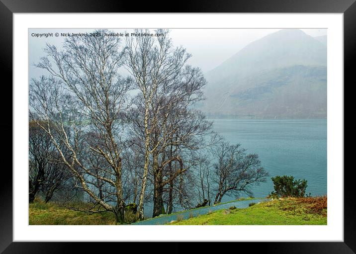 Silver Birch Tree Buttermere Lake District   Framed Mounted Print by Nick Jenkins