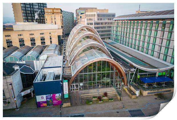 Sheffield Winter Gardens Print by Apollo Aerial Photography