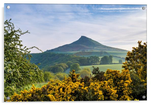 Roseberry Topping: Spring Landscape Acrylic by Tim Hill