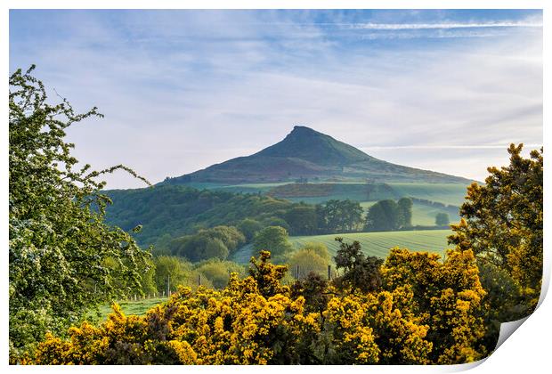 Roseberry Topping: Spring Landscape Print by Tim Hill
