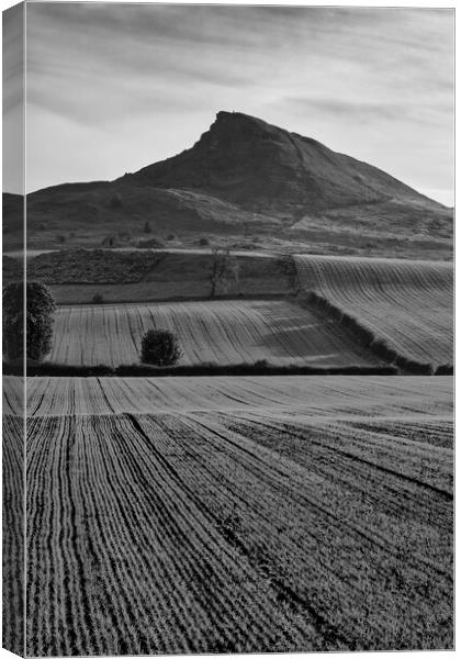Roseberry Topping Black and White Canvas Print by Tim Hill