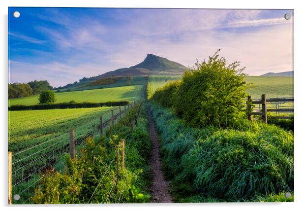 Roseberry Topping: Lush Spring Landscape Acrylic by Tim Hill