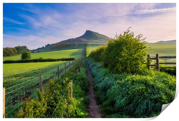 Roseberry Topping: Lush Spring Landscape Print by Tim Hill