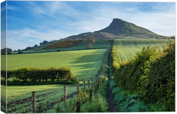 Roseberry Topping: Lush Spring Landscape Canvas Print by Tim Hill
