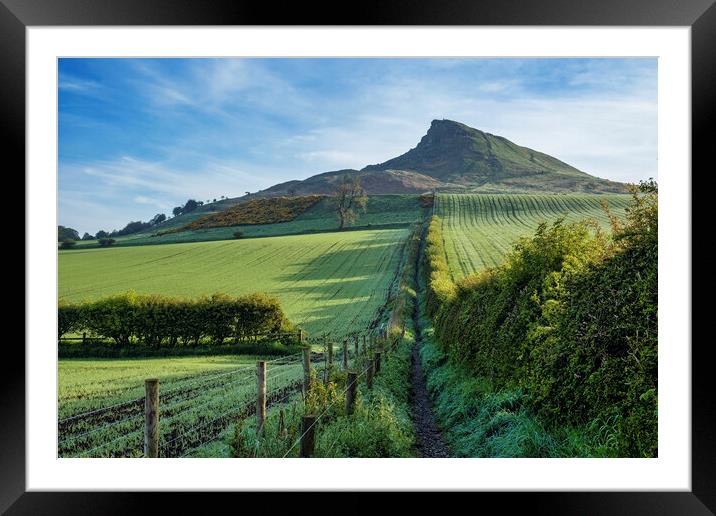 Roseberry Topping: Lush Spring Landscape Framed Mounted Print by Tim Hill