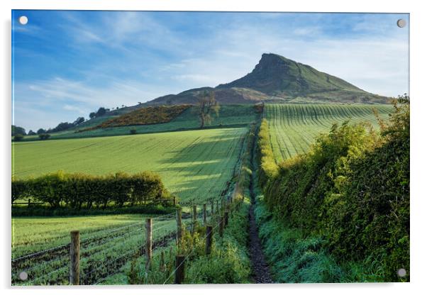 Roseberry Topping: Lush Spring Landscape Acrylic by Tim Hill