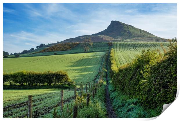 Roseberry Topping: Lush Spring Landscape Print by Tim Hill