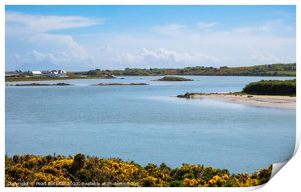 Serene Inland Sea Anglesey Seascape Coast Print by Pearl Bucknall