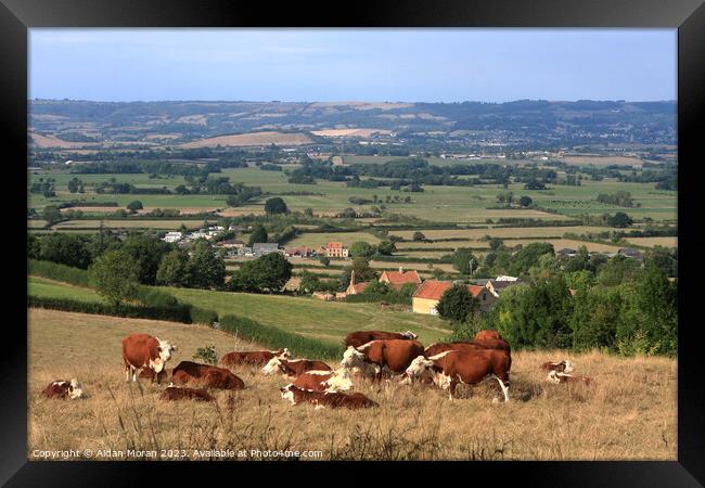 Serene Countryside Scene Framed Print by Aidan Moran