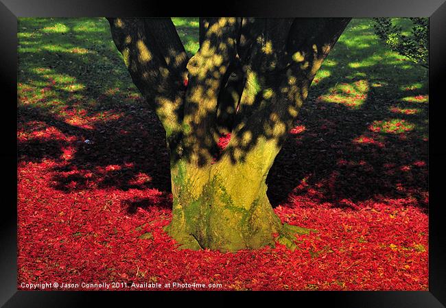 Autumn Colours. Framed Print by Jason Connolly