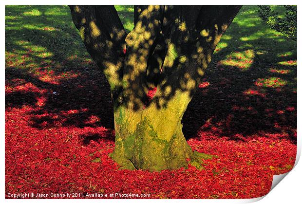 Autumn Colours. Print by Jason Connolly