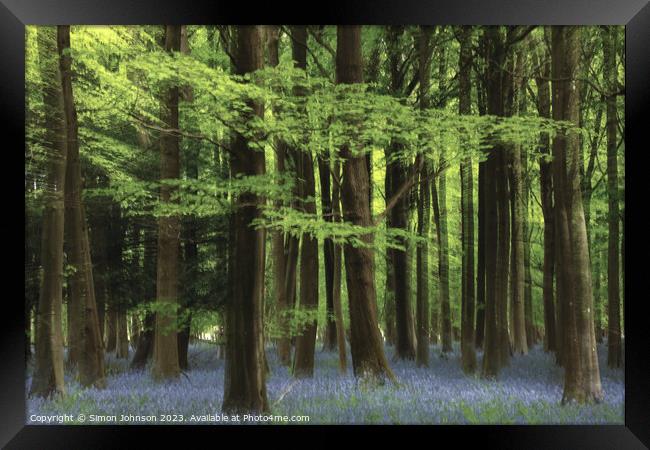  Creative  bluebell wood Framed Print by Simon Johnson