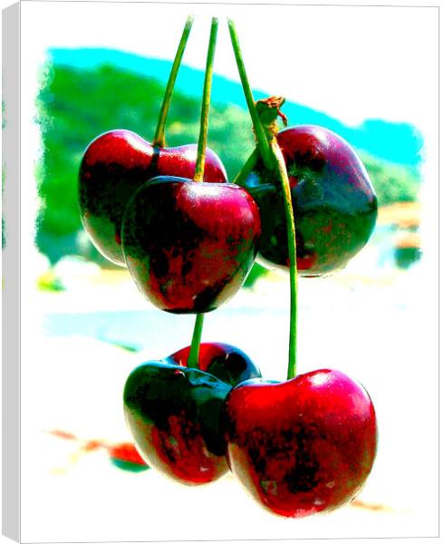 Succulent Greek Cherries by the Beach Canvas Print by john hill
