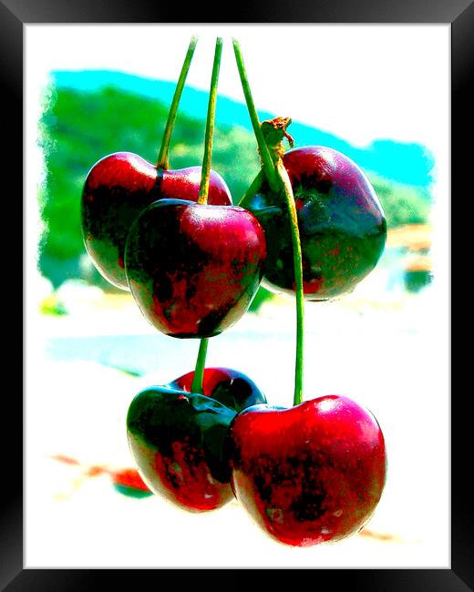 Succulent Greek Cherries by the Beach Framed Print by john hill