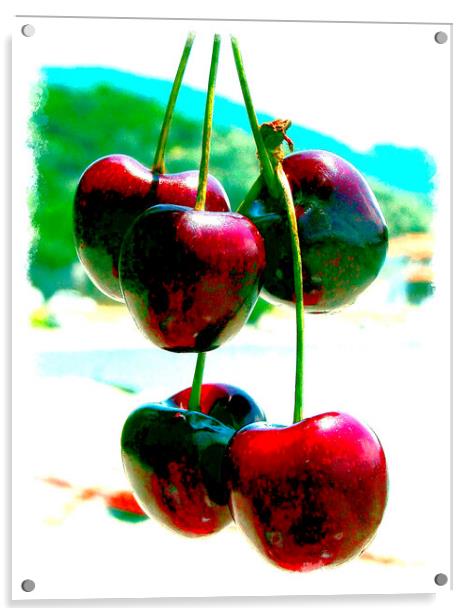 Succulent Greek Cherries by the Beach Acrylic by john hill