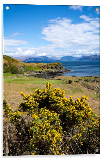 Sleat Isle of Skye: Mesmerizing Beauty Acrylic by Steve Smith
