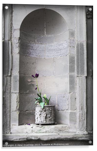 A Purple Plant In A Planter In A Recessed In A Sta Acrylic by Peter Greenway
