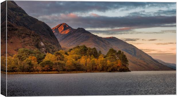 Sgùrr Ghiubhsachain and Loch Shiel in Autumn Canvas Print by Miles Gray
