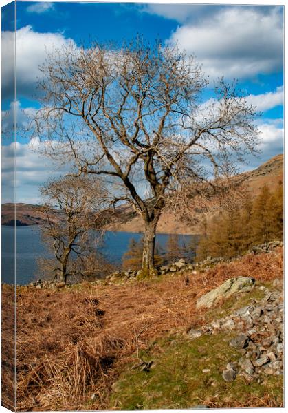 Haweswater: A Serene Reservoir Escape Canvas Print by Steve Smith