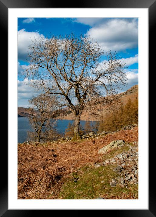 Haweswater: A Serene Reservoir Escape Framed Mounted Print by Steve Smith