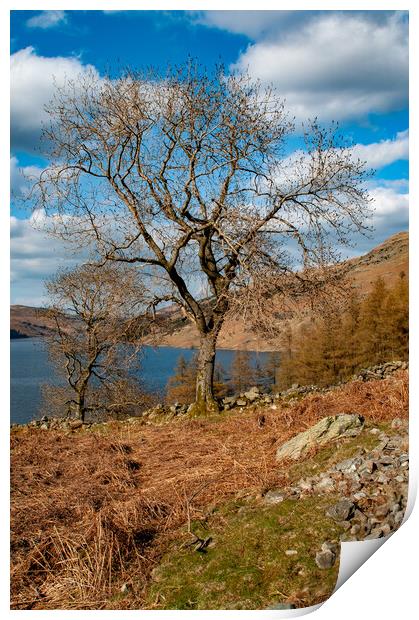 Haweswater: A Serene Reservoir Escape Print by Steve Smith