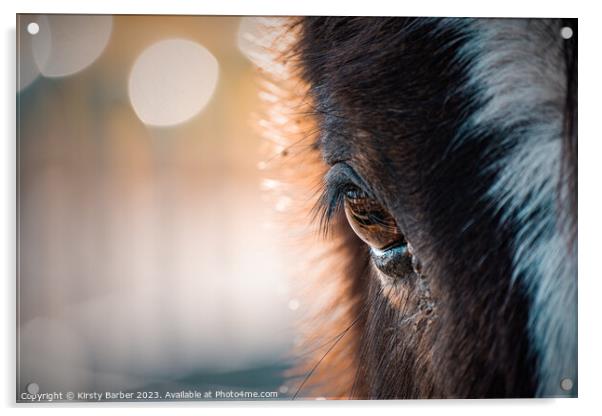 Close up of a horses eye Acrylic by Kirsty Barber