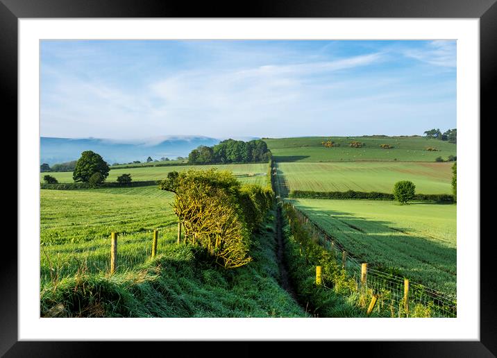 North York Moors Landscape Framed Mounted Print by Tim Hill