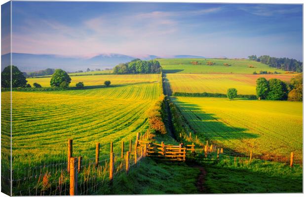North York Moors Landscape Canvas Print by Tim Hill