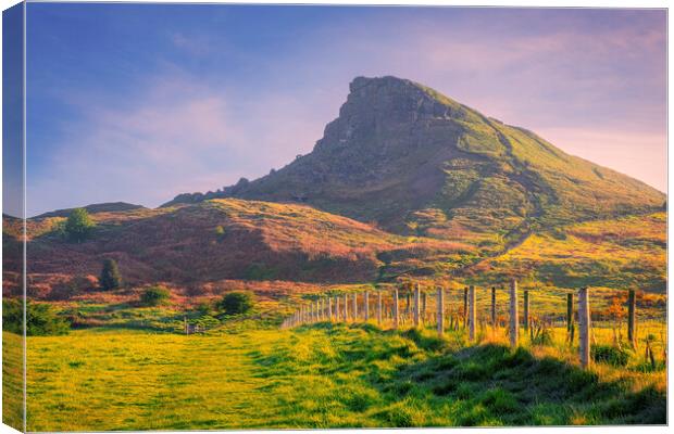 Spring Sunshine on Roseberry Topping Canvas Print by Tim Hill