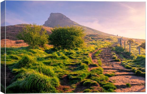 Stone Steps Lead to Roseberry Topping Canvas Print by Tim Hill