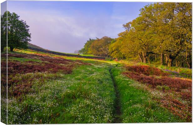 Roseberry Common Flower Meadow Canvas Print by Tim Hill
