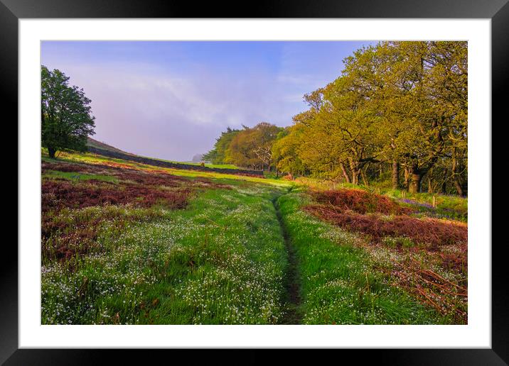 Roseberry Common Flower Meadow Framed Mounted Print by Tim Hill