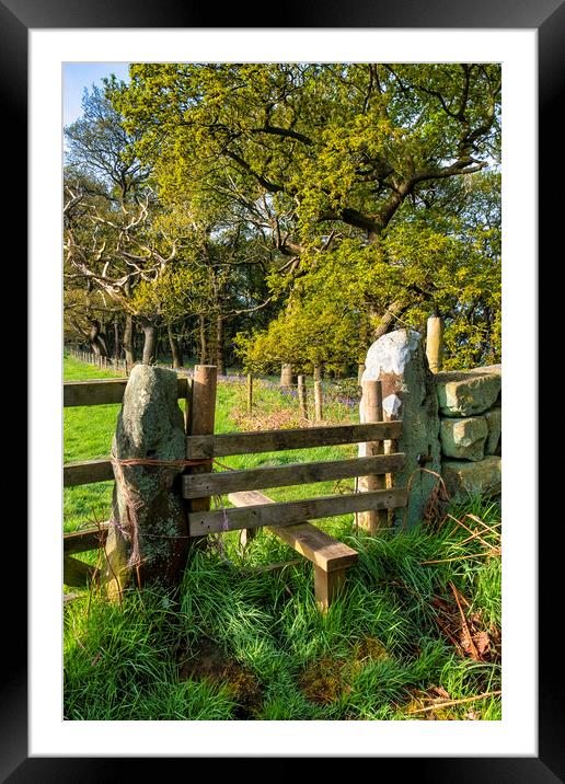 wooden Stile to Newton Woods in North Yorkshire Framed Mounted Print by Tim Hill