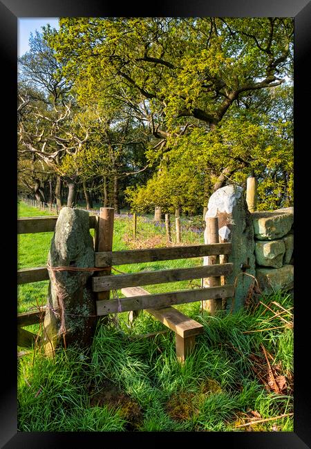 wooden Stile to Newton Woods in North Yorkshire Framed Print by Tim Hill